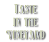 taste in the vineyard